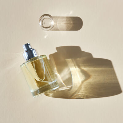 Perfumes. O que faz um produto merecer o Prémio Máxima Beleza&Perfumes?