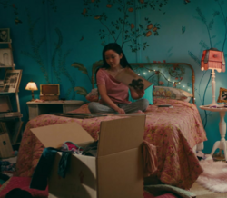 A Todos os Rapazes que Amei (2018)