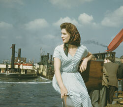 Eclipse lunar em Virgem: fragilidades e novos caminhos para Sagitário, Capricórnio e Aquário