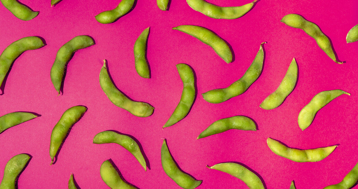 Feijões de soja, alimento japonês, protegem a saúde e ajudam a ganhar anos de vida