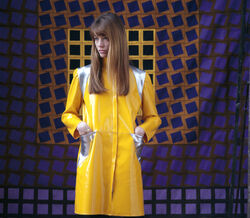  Françoise Hardy e o seu french balayage nos anos 70