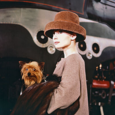 Audrey Hepburn com um cão ao colo, promovendo o bem-estar físico e psicológico