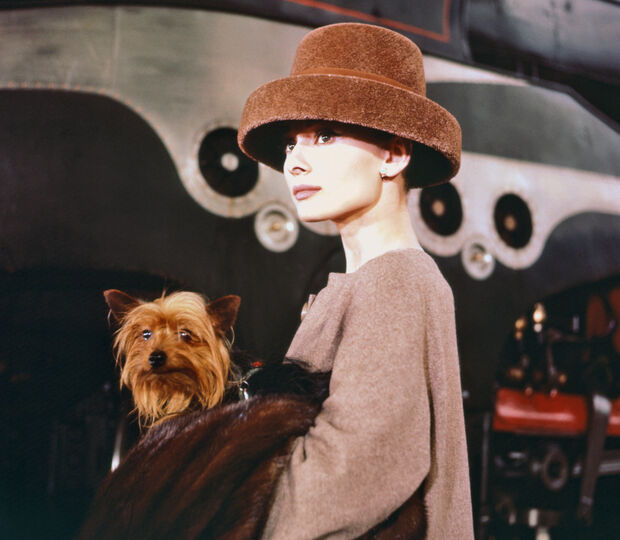Audrey Hepburn com um cão ao colo, promovendo o bem-estar físico e psicológico