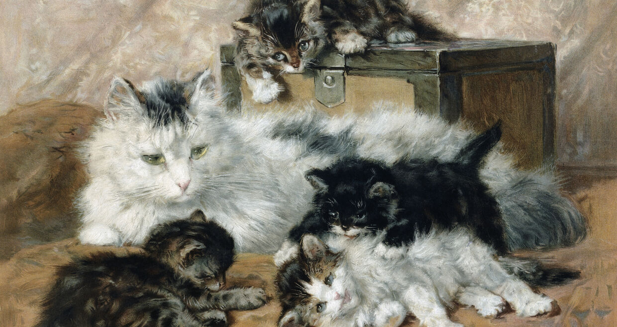 The Proud Mother de Charles van den Eychen