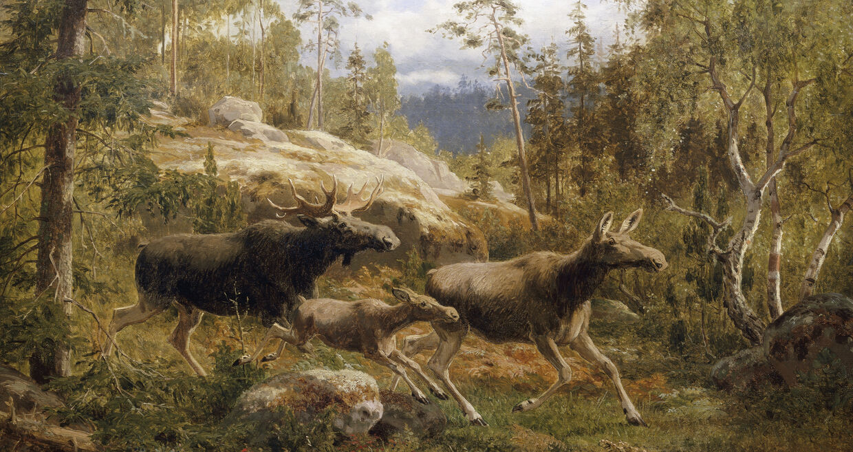 A Family of Moose de Carl Henrik Bogh