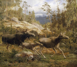 A Family of Moose de Carl Henrik Bogh