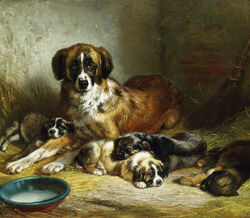 A Soporific Family por Benno Adam