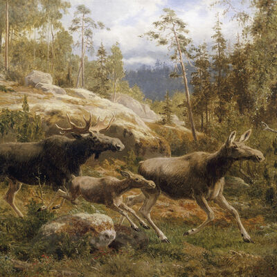 A Family of Moose de Carl Henrik Bogh