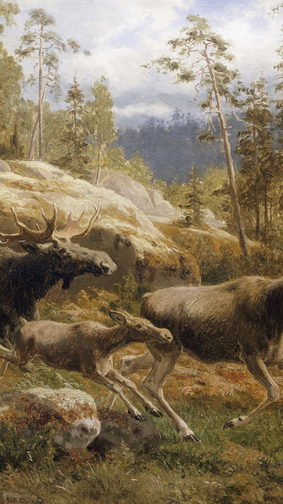 A Family of Moose de Carl Henrik Bogh