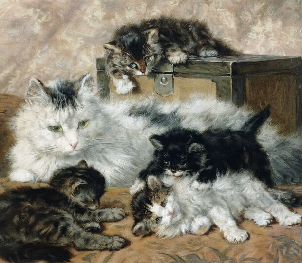 The Proud Mother de Charles van den Eychen