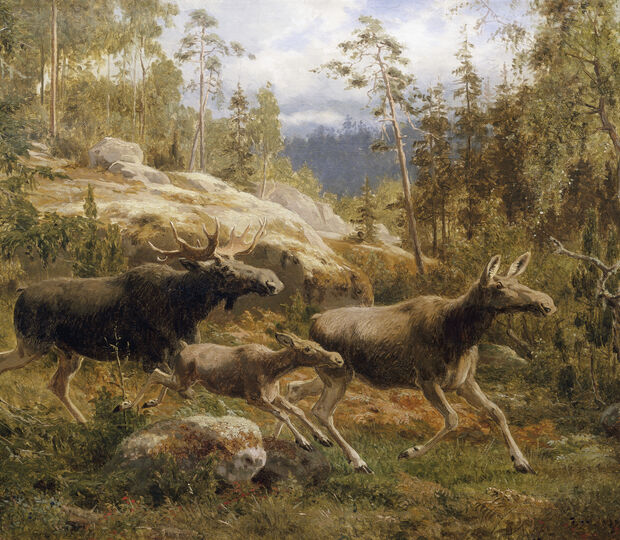 A Family of Moose de Carl Henrik Bogh