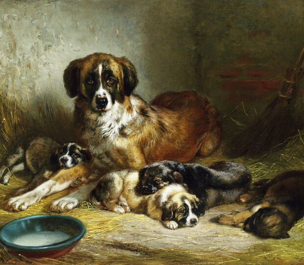 A Soporific Family por Benno Adam