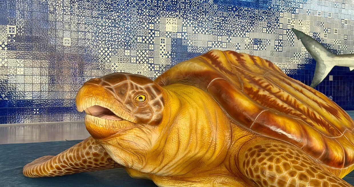 A exposição pertende dar a conhecer a evolução do Oceano desdes os seus primórdios 