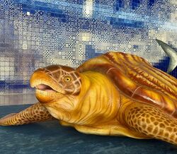 A exposição pertende dar a conhecer a evolução do Oceano desdes os seus primórdios 