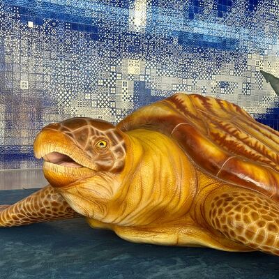 A exposição pertende dar a conhecer a evolução do Oceano desdes os seus primórdios 
