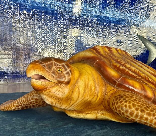 A exposição pertende dar a conhecer a evolução do Oceano desdes os seus primórdios 