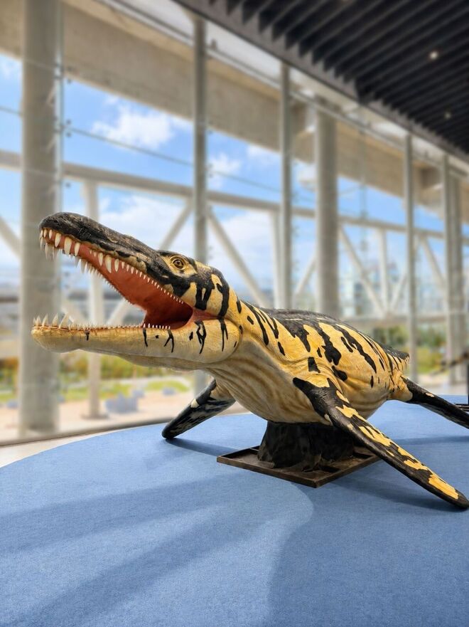 A exposição pertende dar a conhecer a evolução do Oceano desdes os seus primórdios 