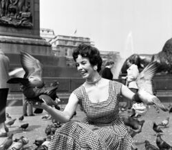 Londres, nos anos 50